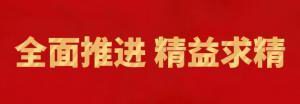 履践致远向未来 | 球友会精英特训营“磐石计划”精益生产项目召开复盘追踪会